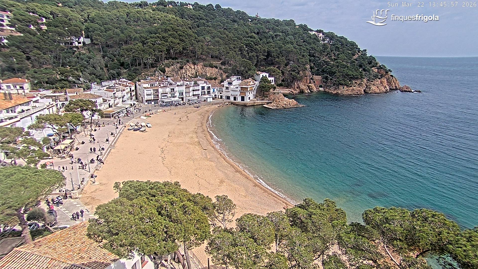 Webcam of Tamariu beach