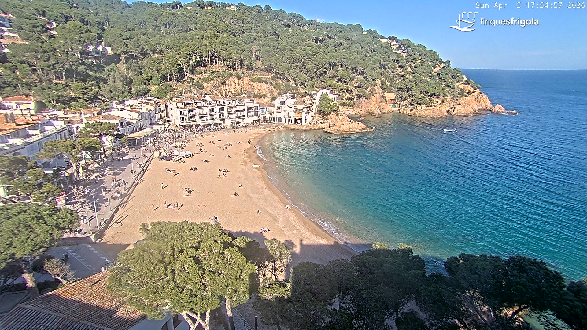 Webcam of Tamariu beach