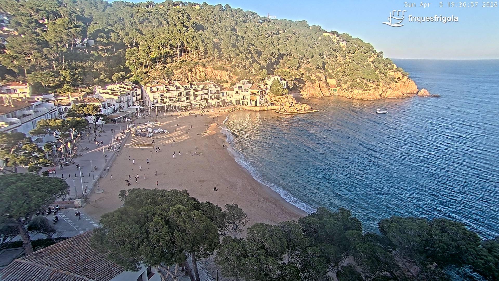 Webcam of Tamariu beach