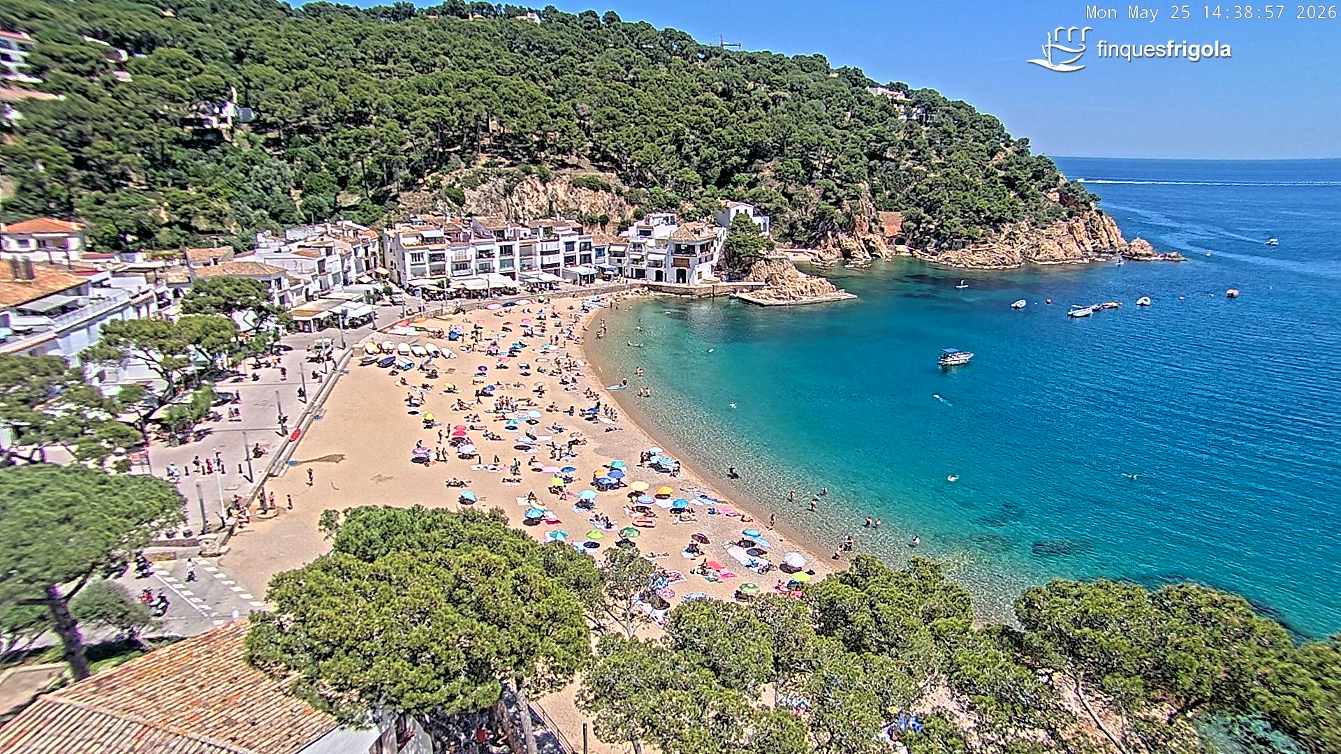 Webcam of Tamariu beach