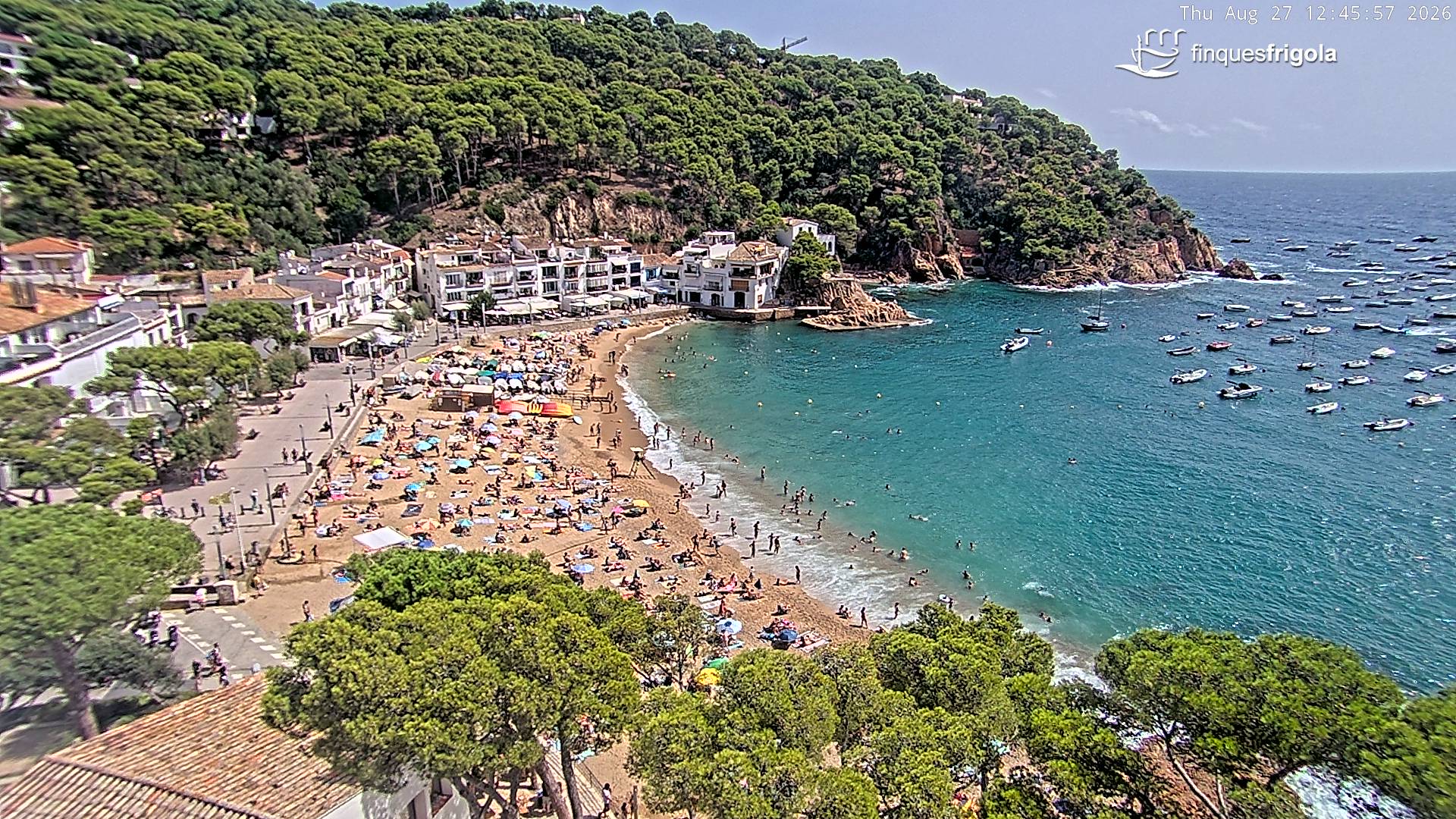 Webcam de Tamariu playa