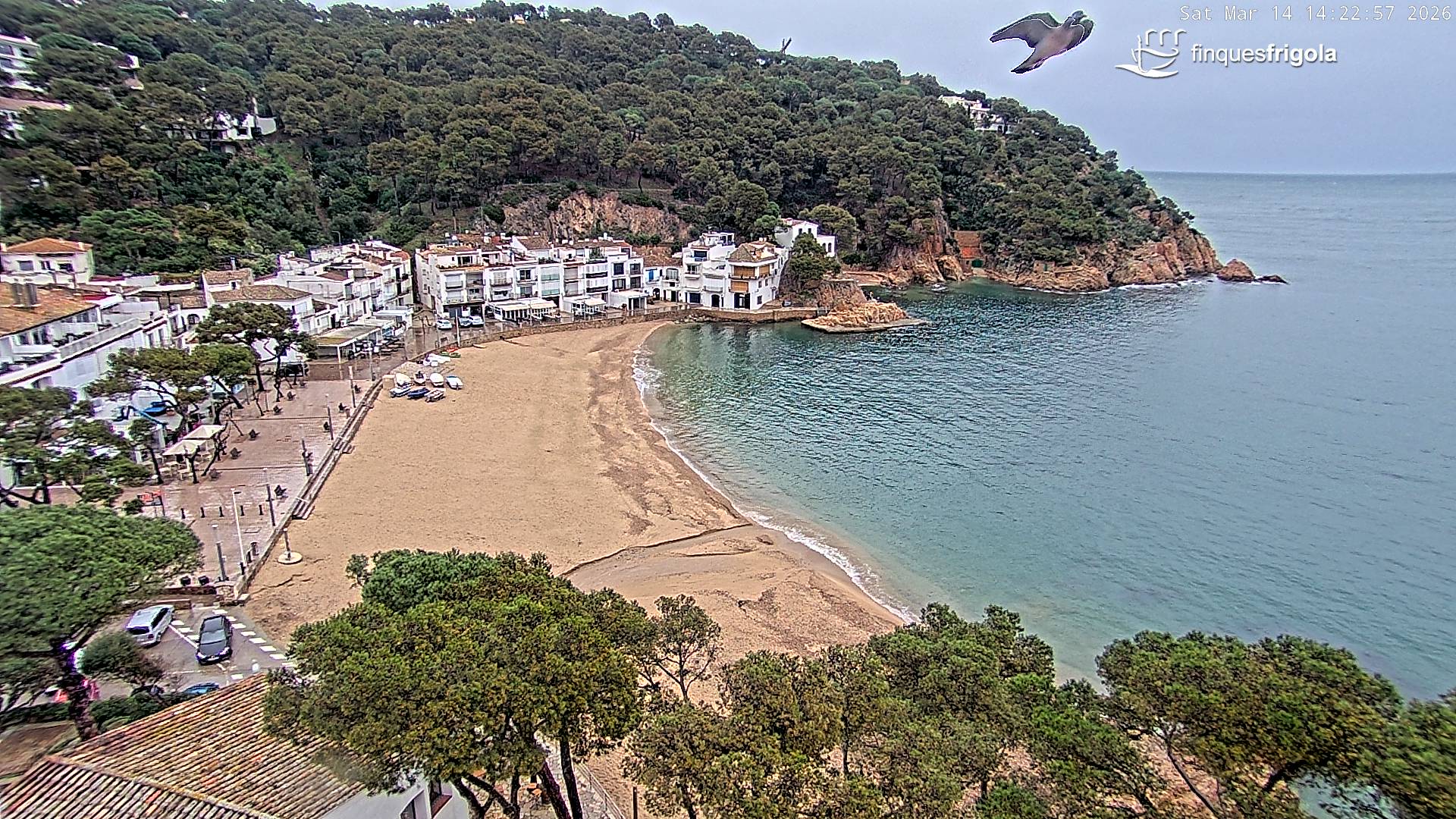 Webcam de Tamariu playa