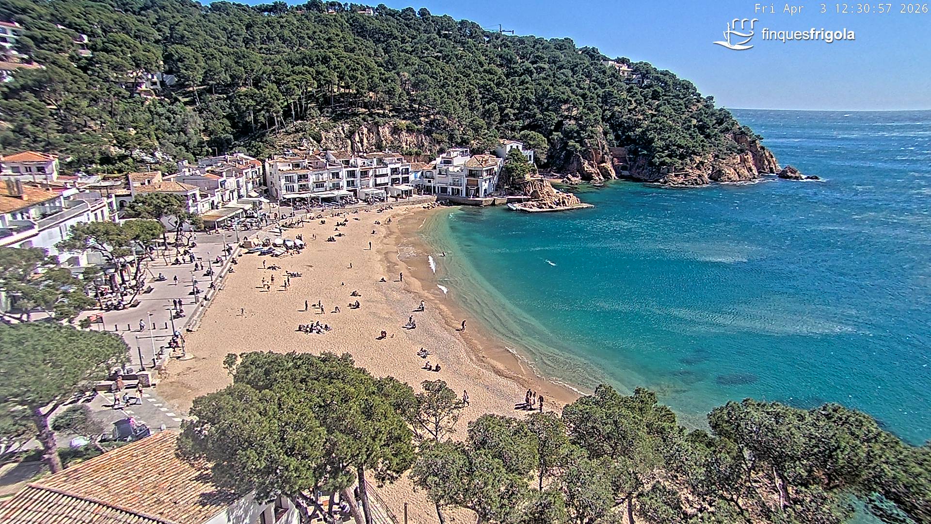 Webcam de Tamariu playa