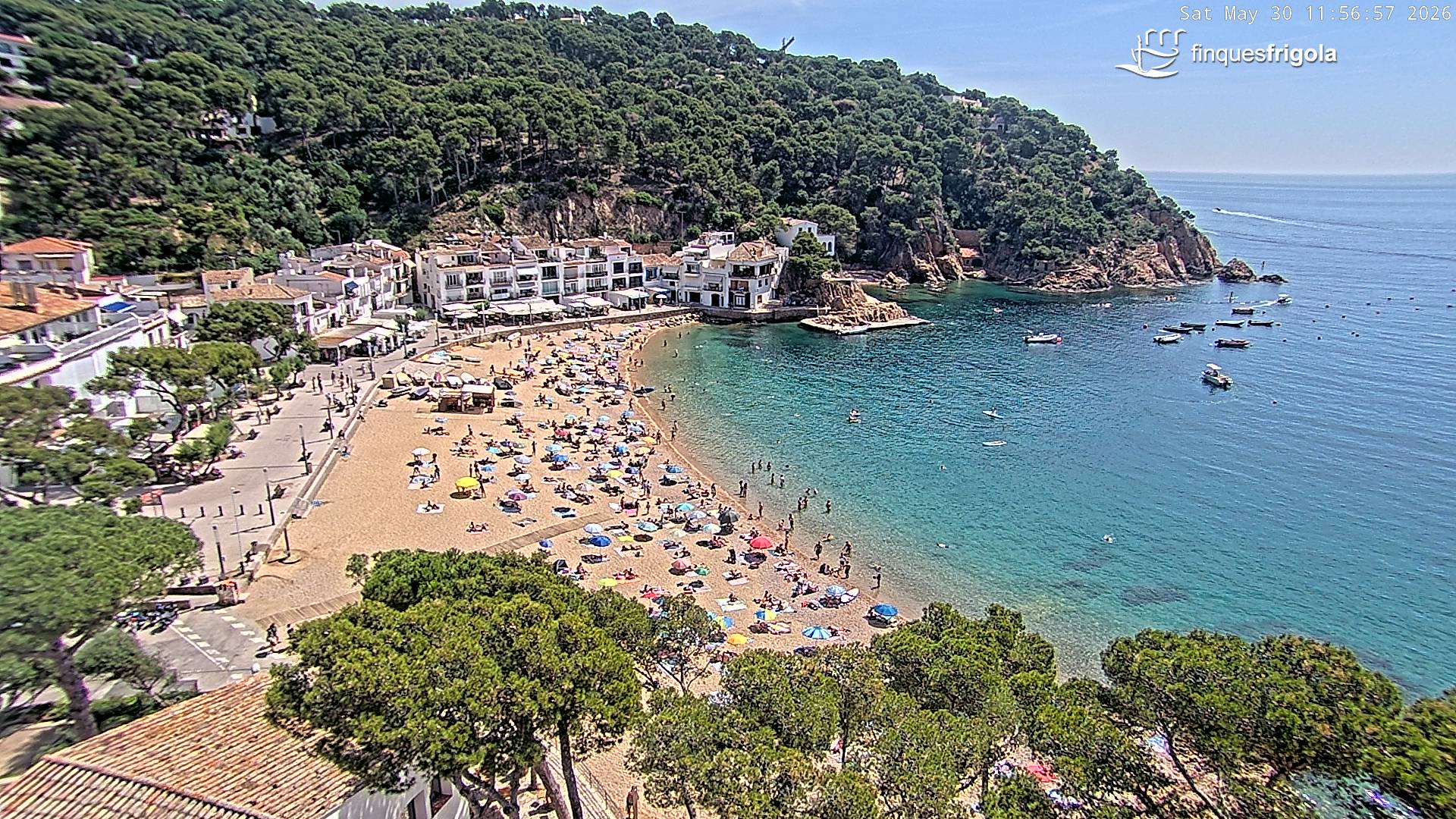 Webcam de Tamariu playa