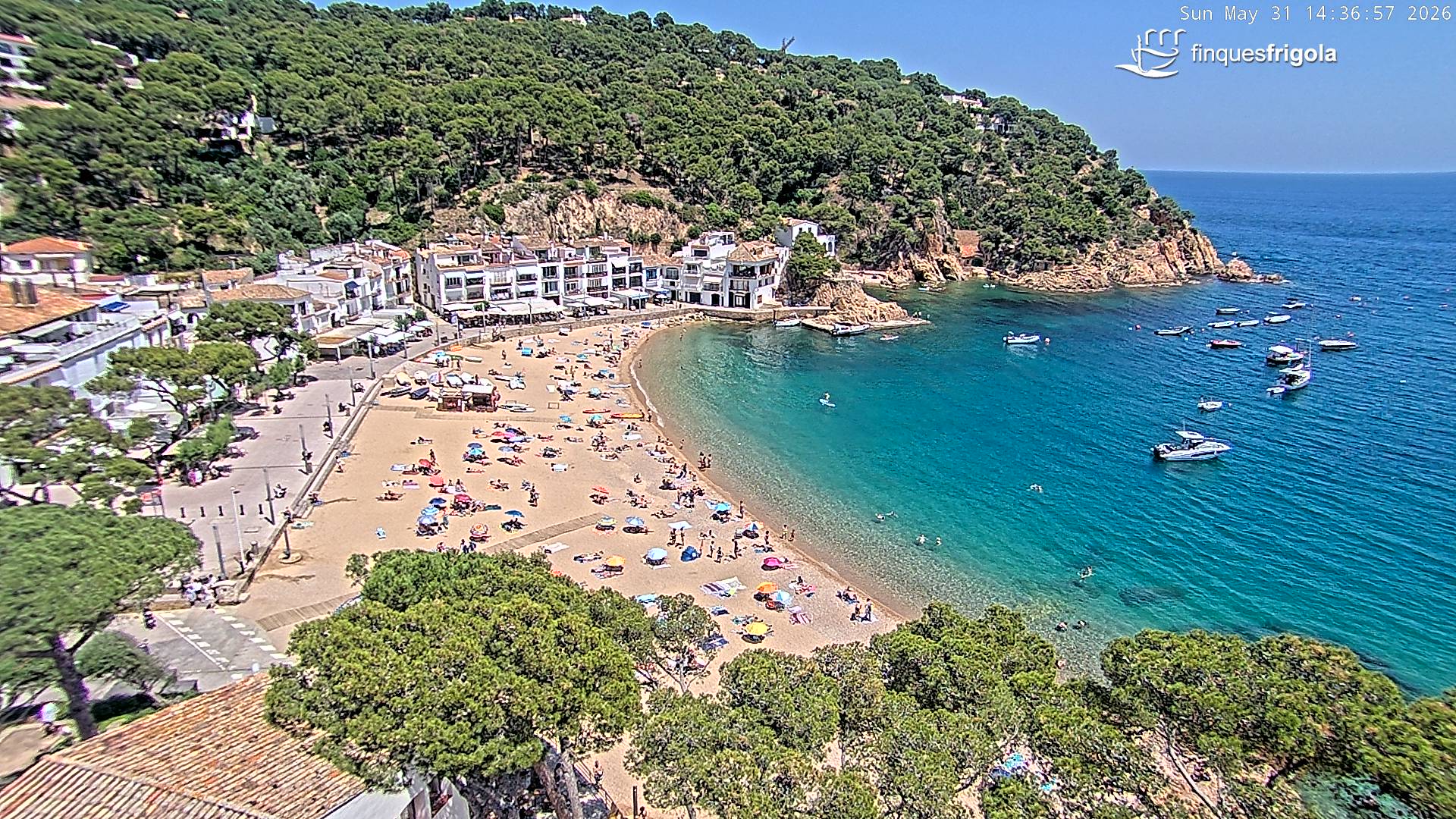 Webcam de Tamariu playa