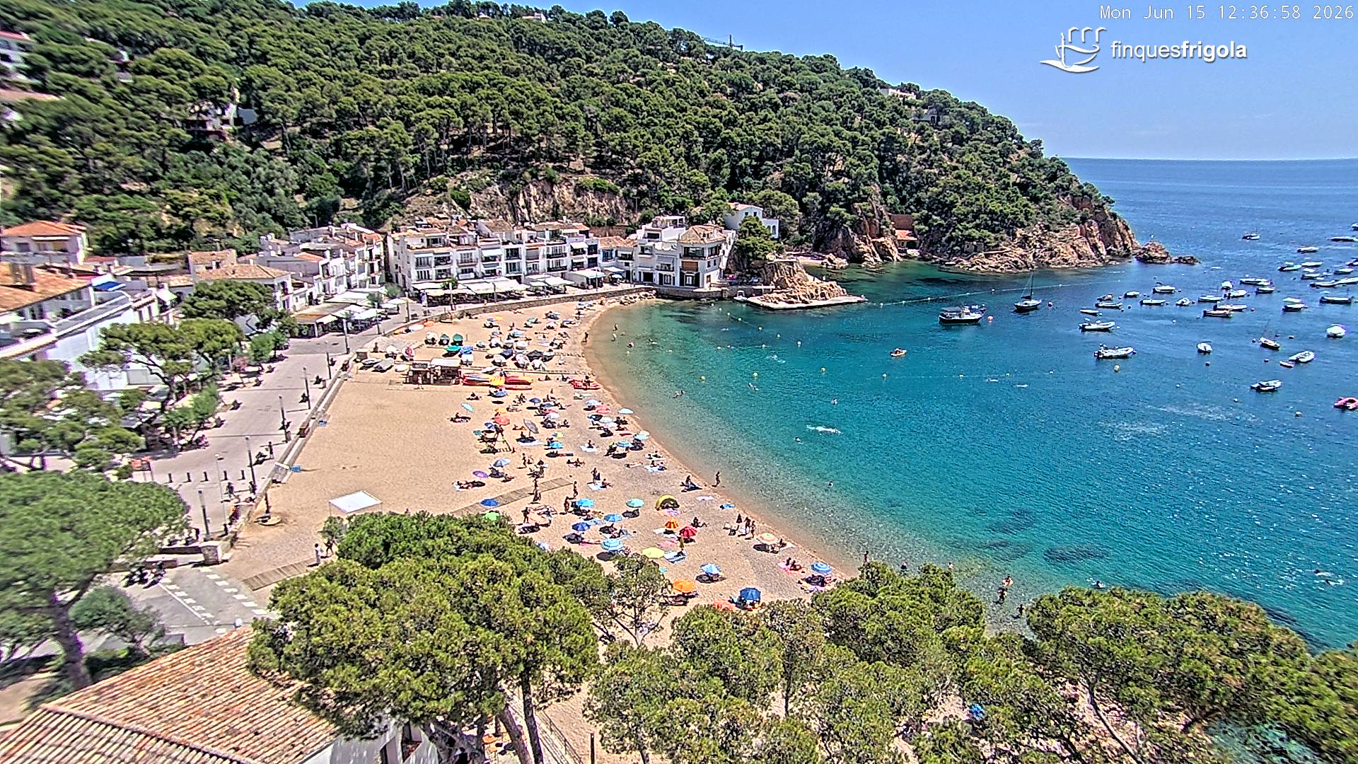 Webcam de Tamariu playa