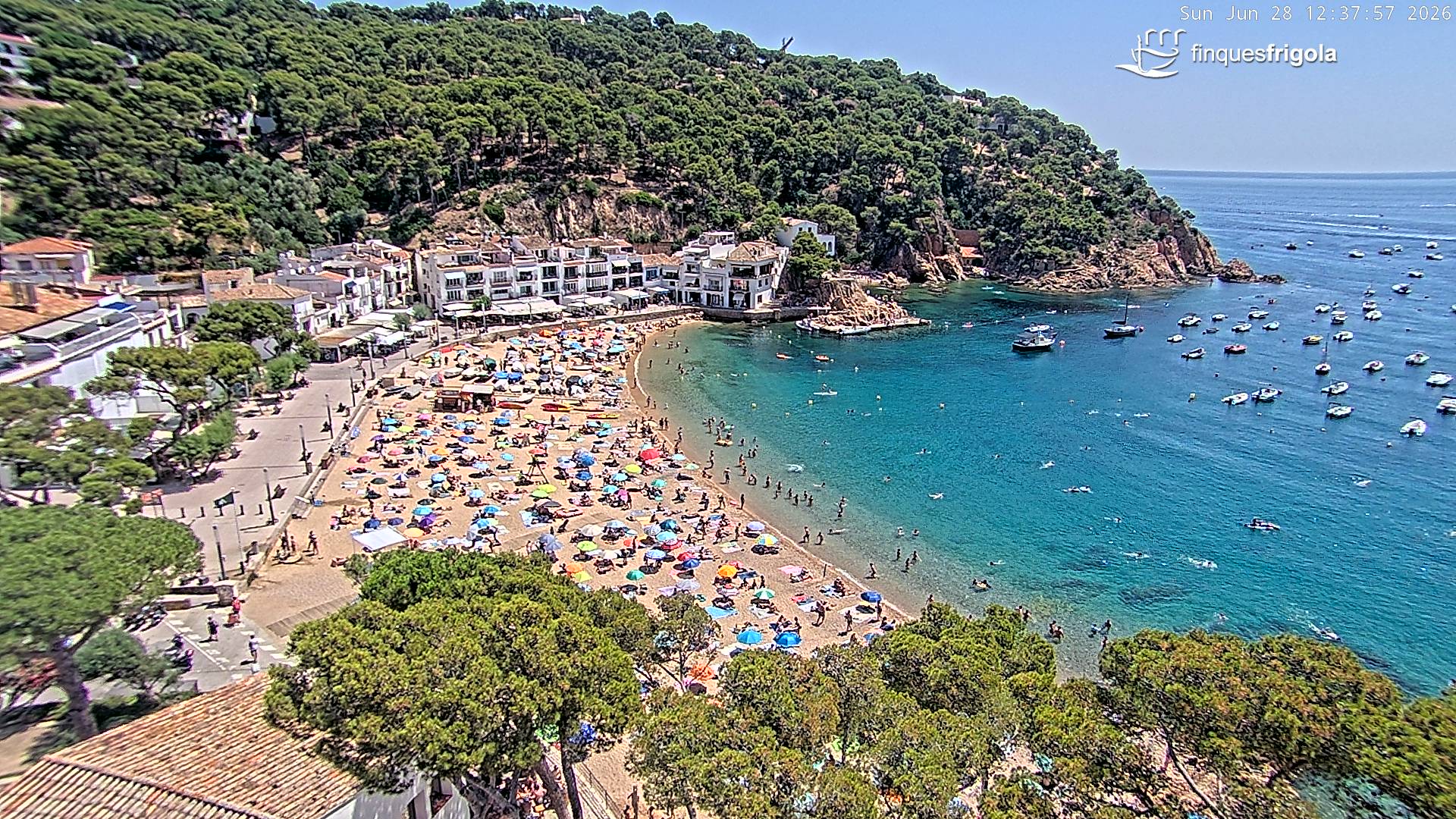 Webcam de Tamariu playa