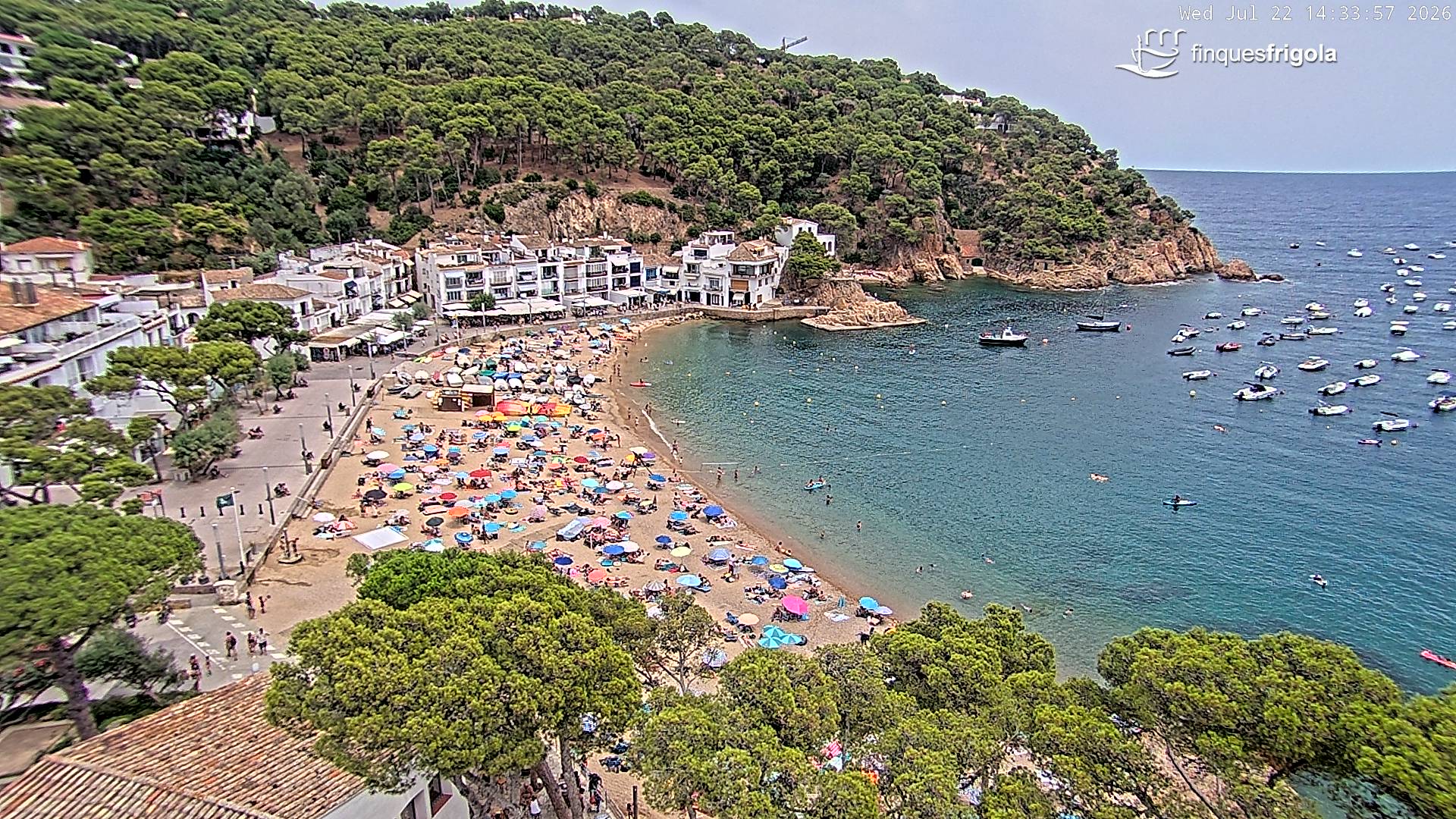 Webcam de Tamariu playa