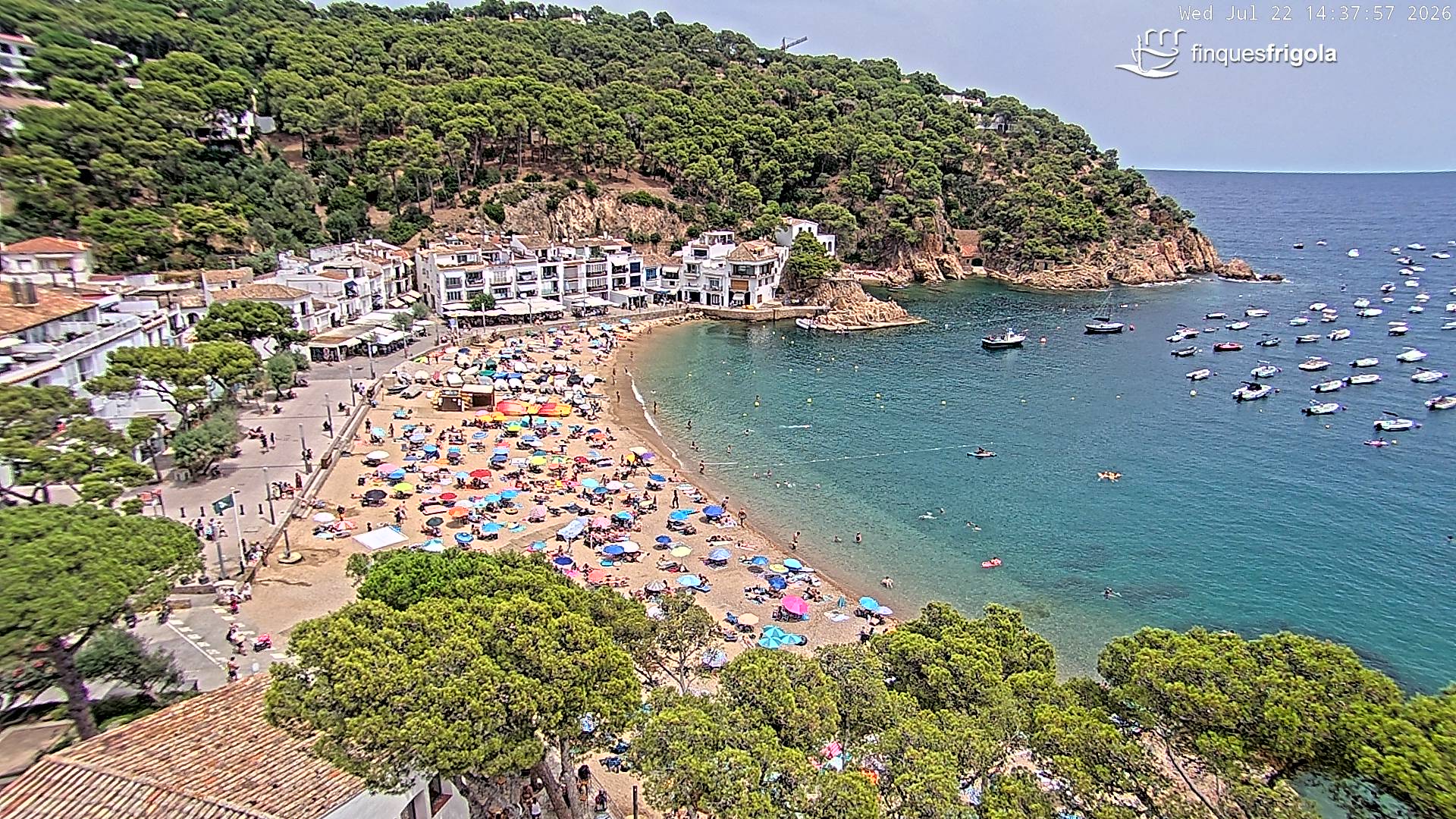 Webcam de Tamariu playa