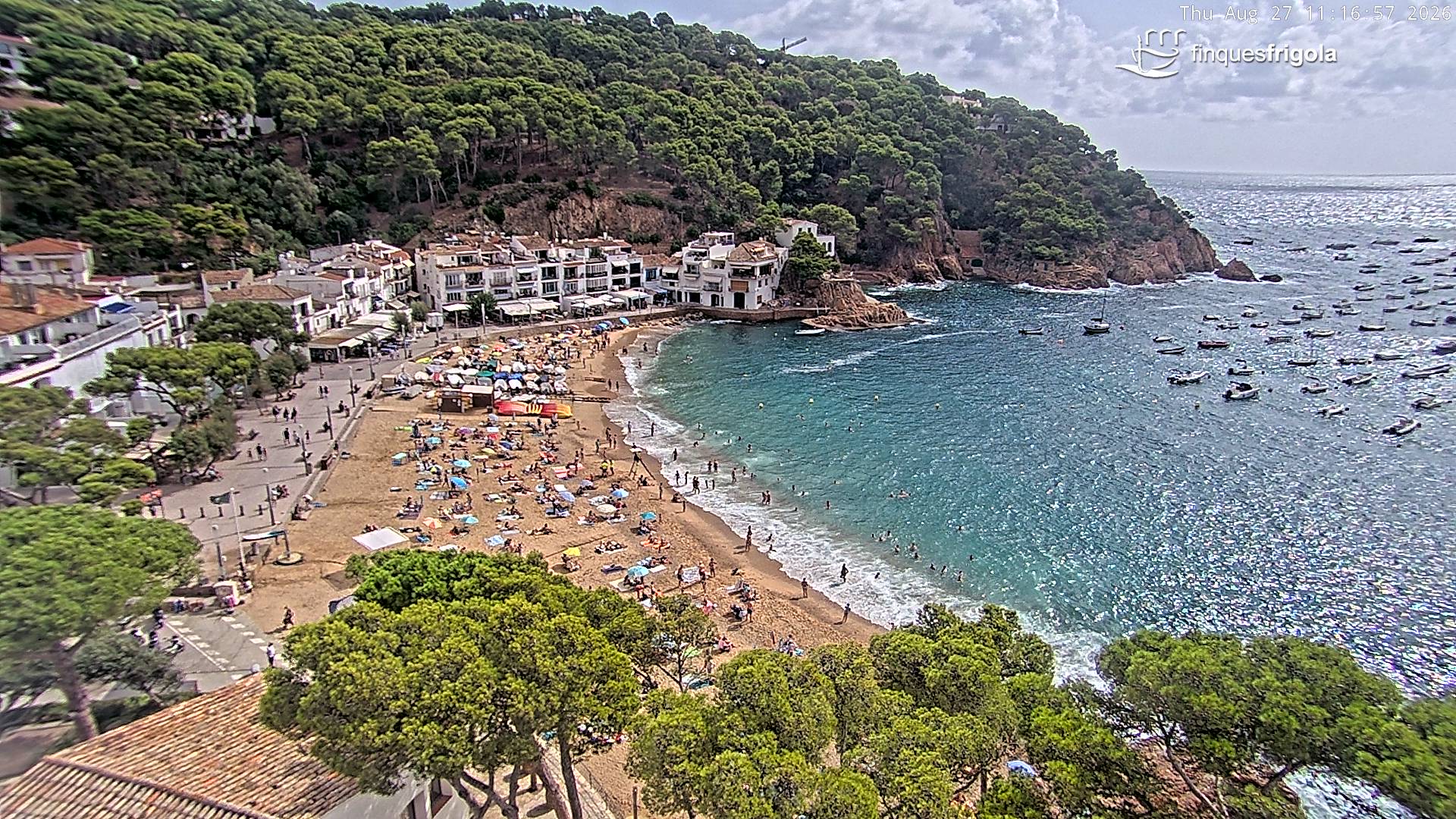 Webcam de Tamariu playa
