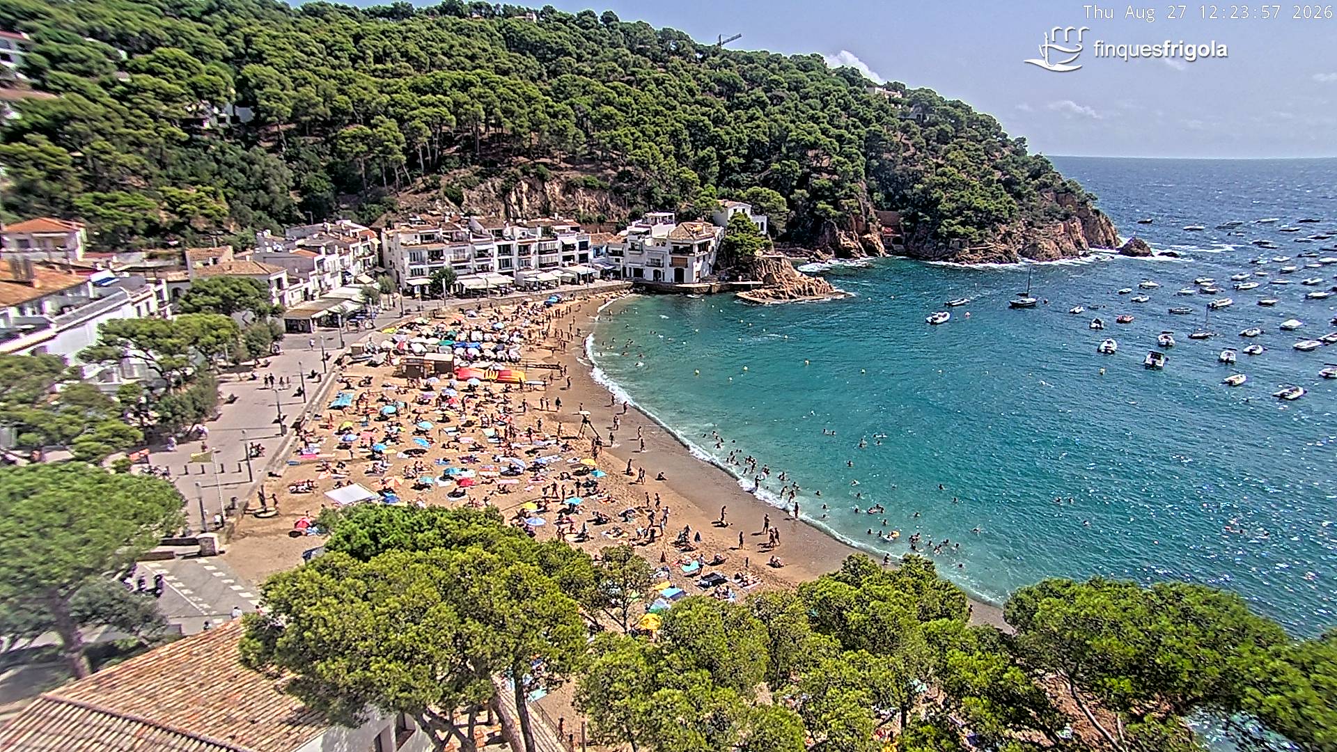 Webcam de Tamariu playa