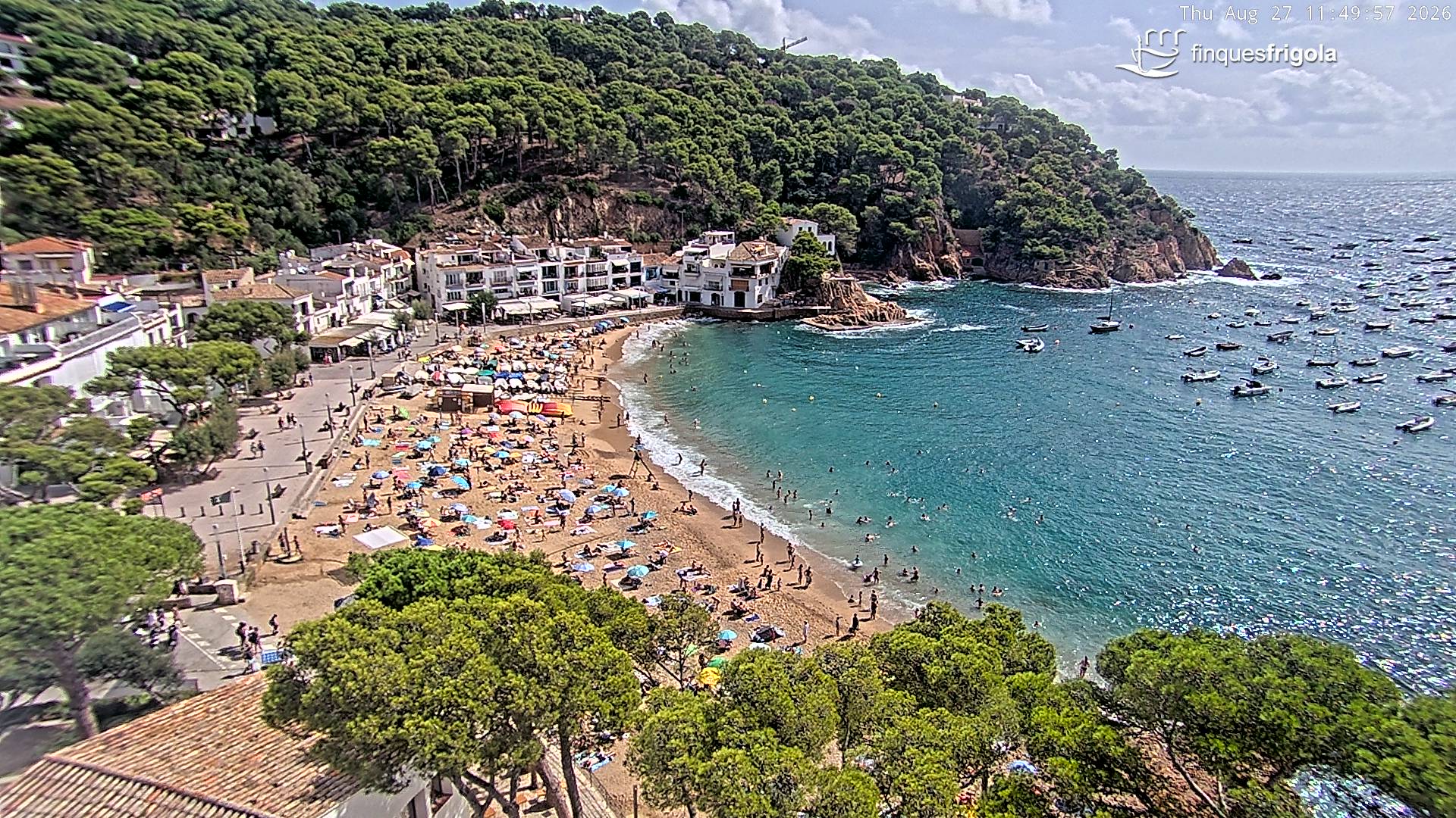Webcam de Tamariu playa