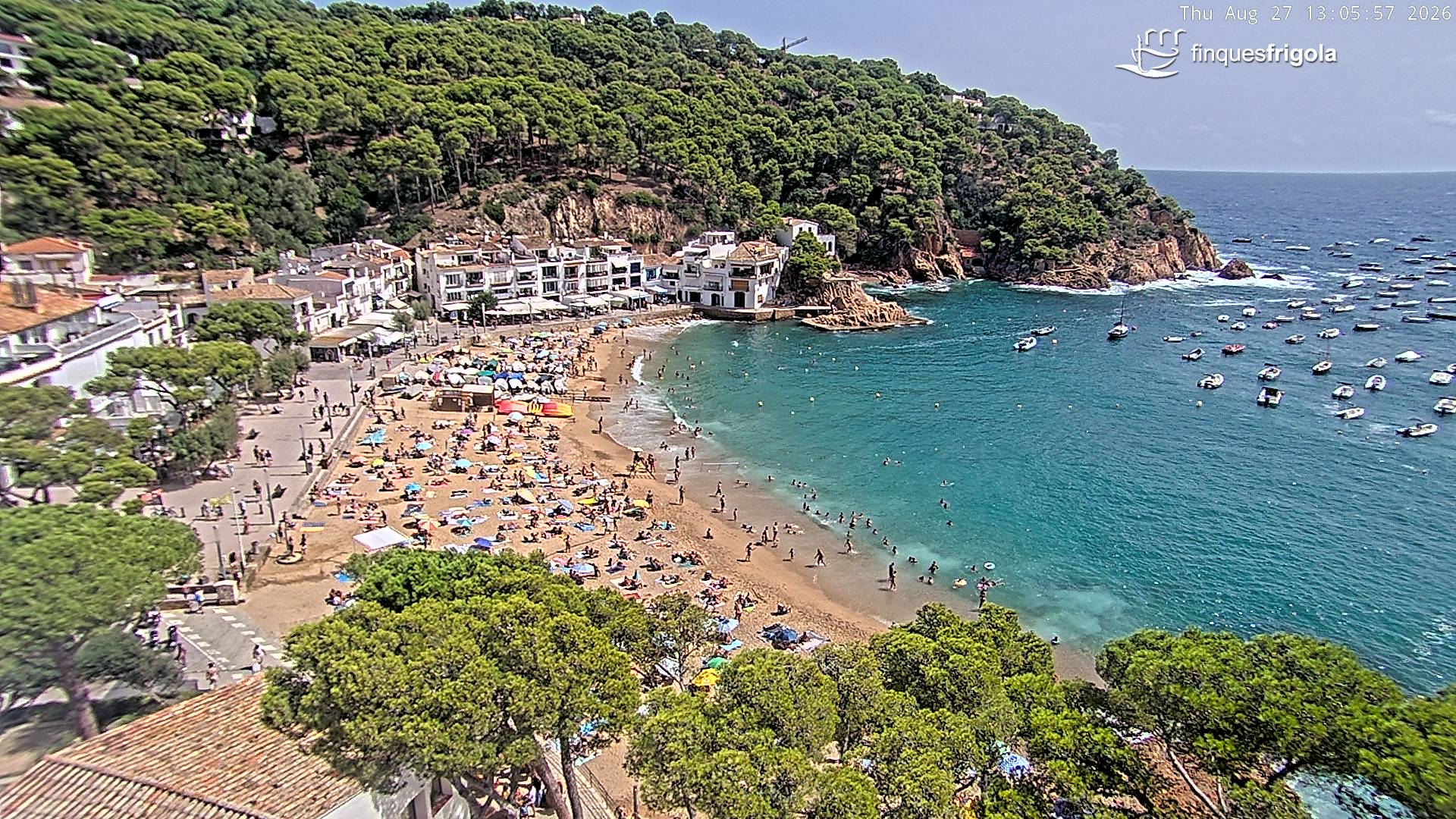 Webcam de Tamariu playa