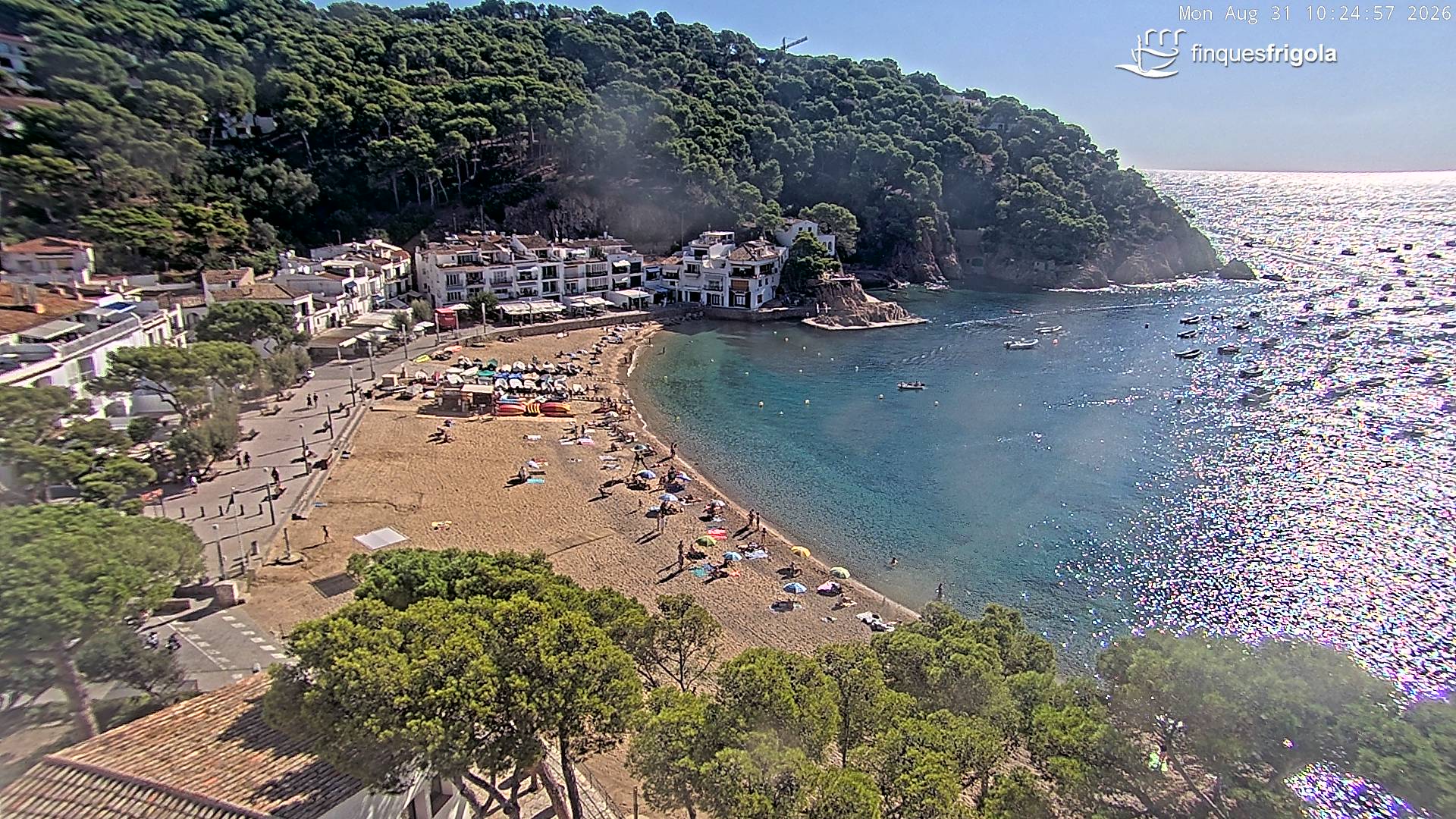 Webcam de Tamariu playa