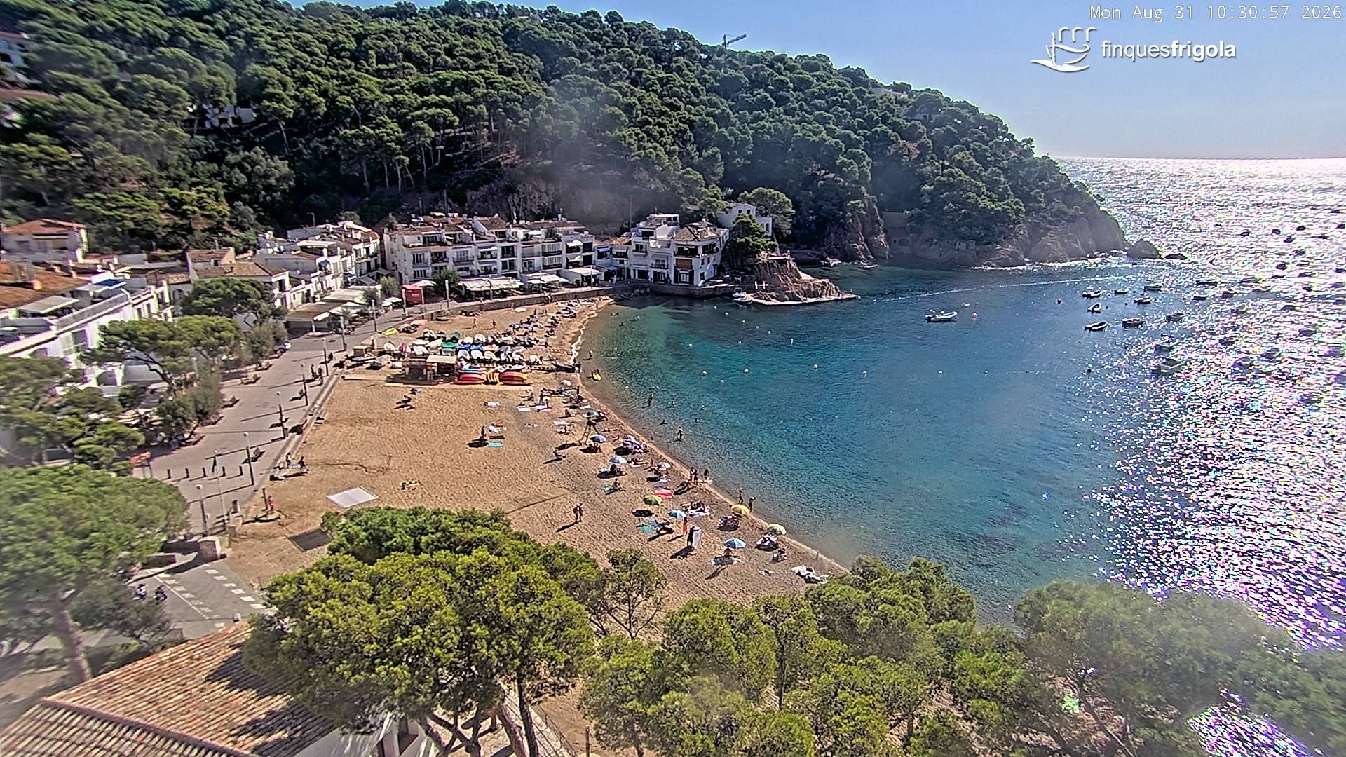 Webcam de Tamariu playa