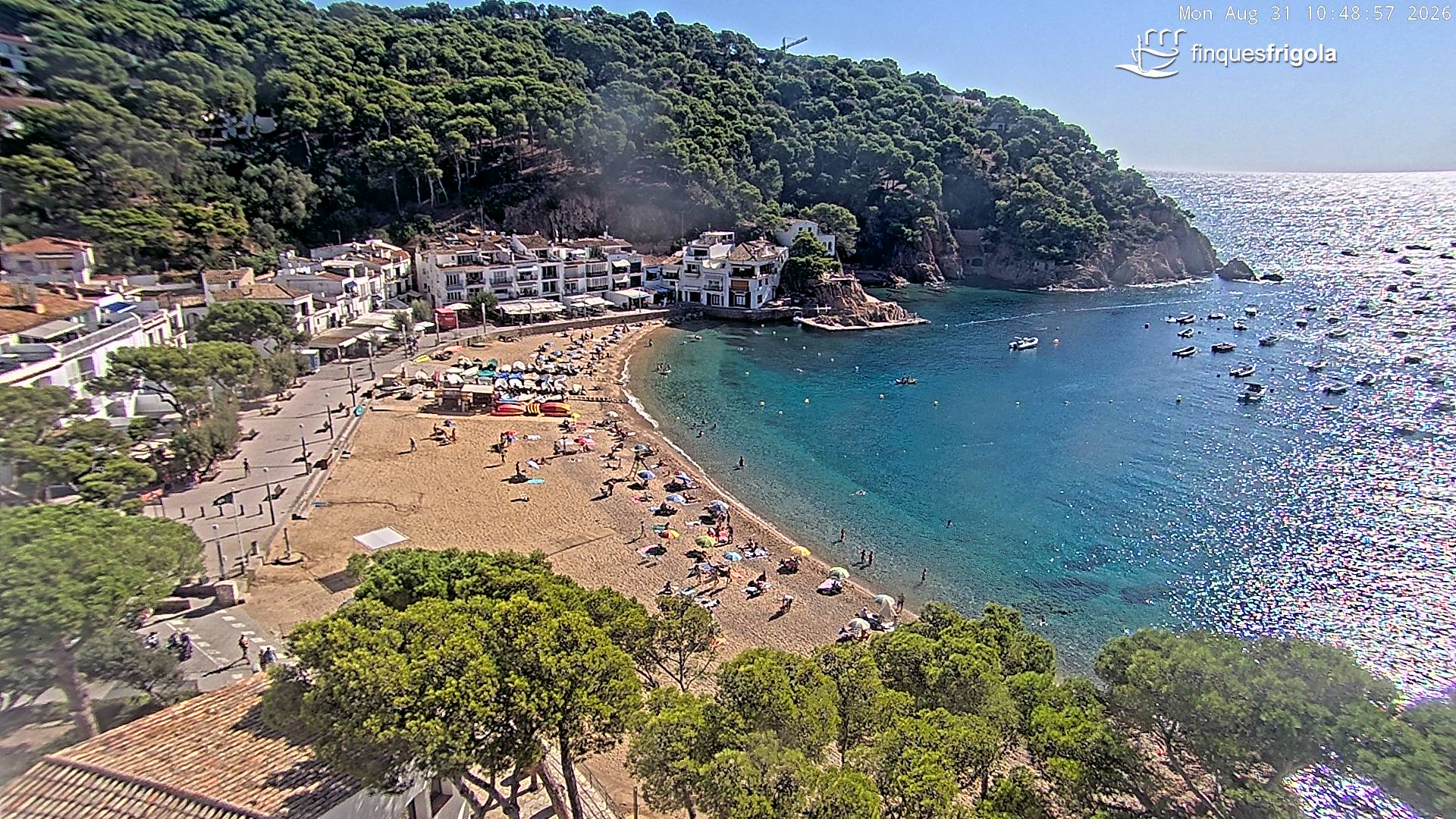 Webcam de Tamariu playa