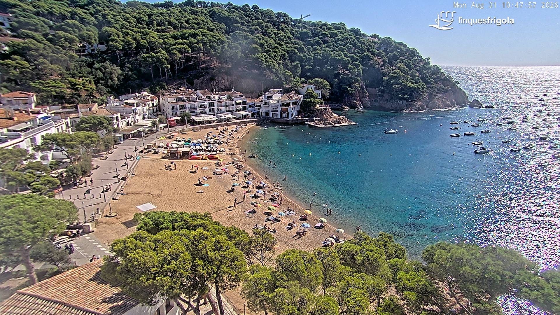 Webcam de Tamariu playa