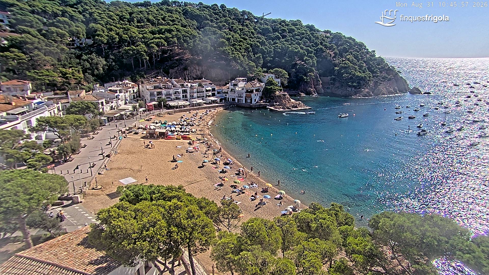 Webcam de Tamariu playa