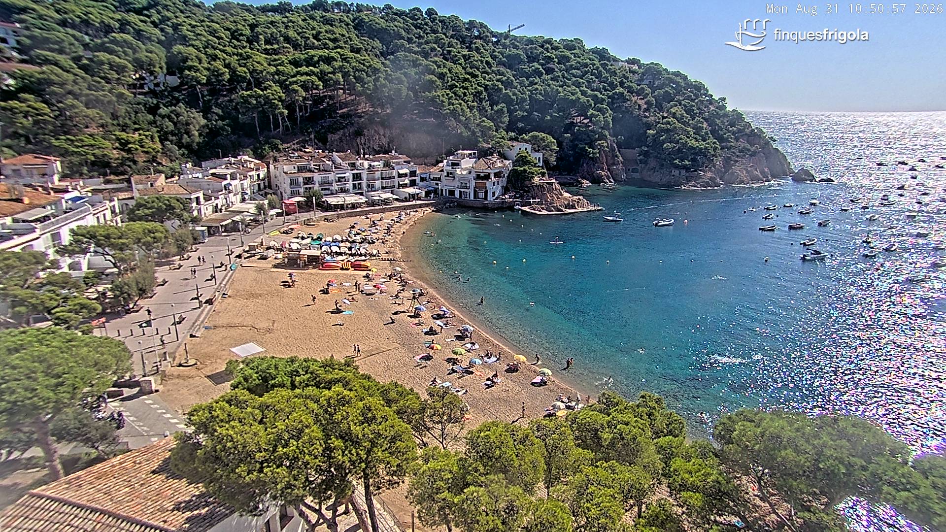 Webcam de Tamariu playa