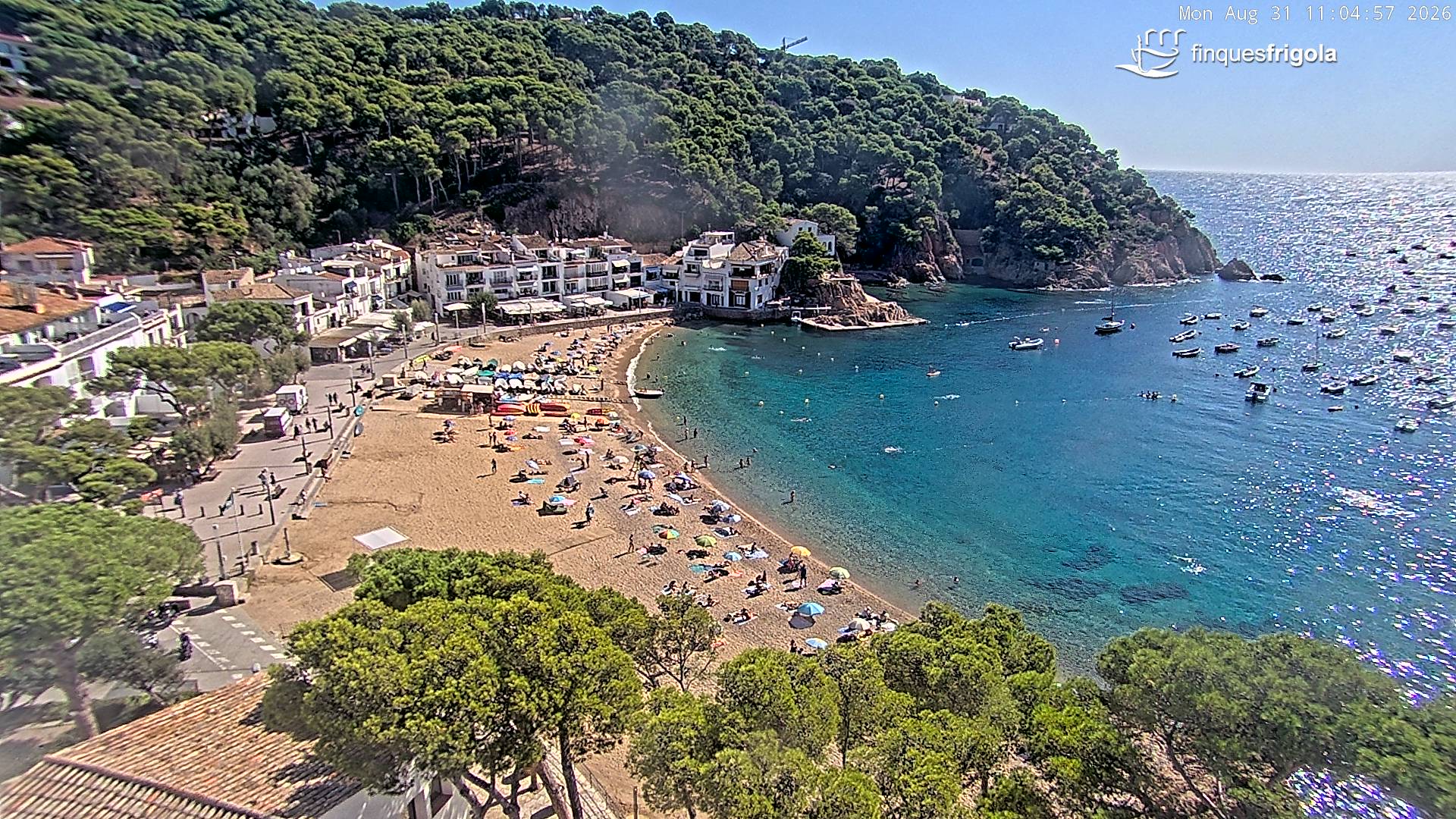 Webcam de Tamariu playa