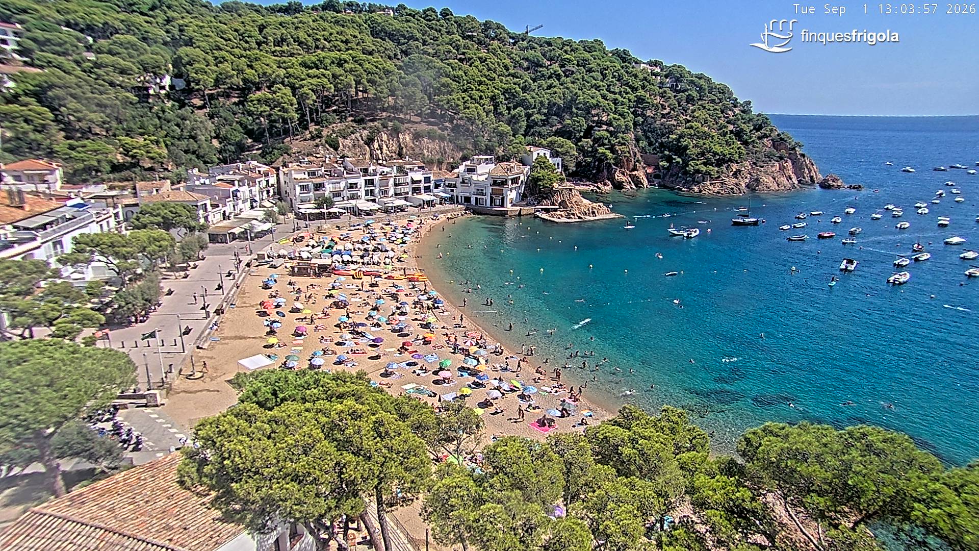 Webcam de Tamariu playa