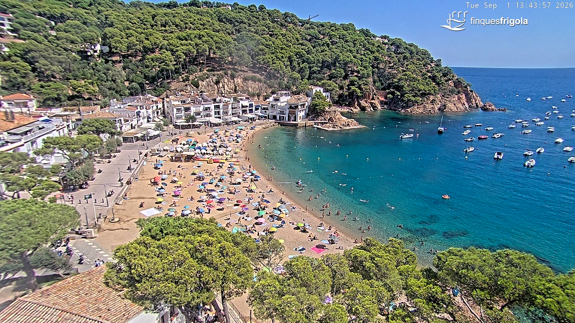 Webcam de Tamariu playa