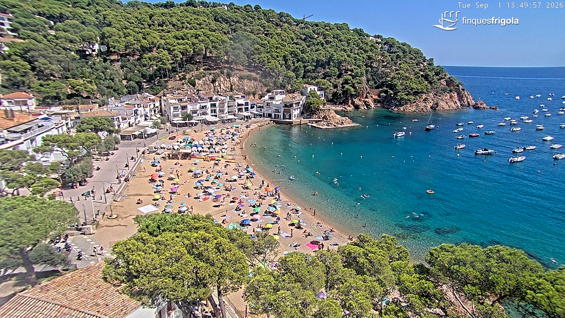 Webcam de Tamariu playa