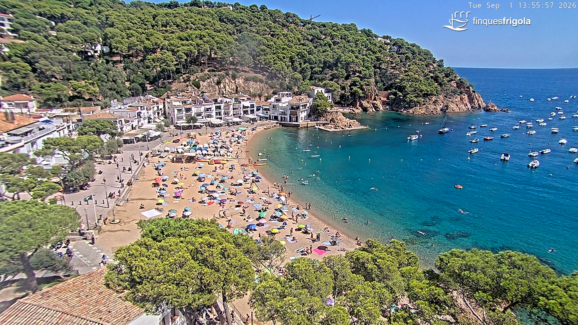 Webcam de Tamariu playa