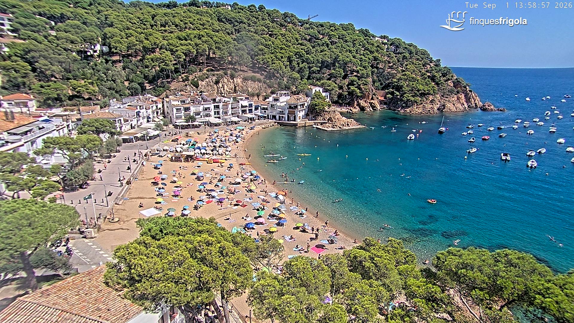 Webcam de Tamariu playa