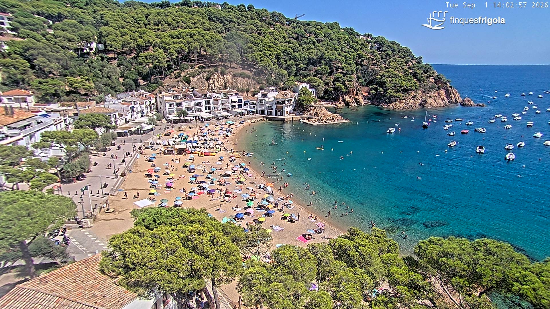 Webcam de Tamariu playa
