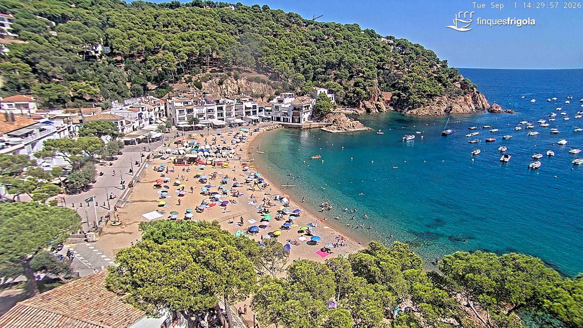 Webcam de Tamariu playa