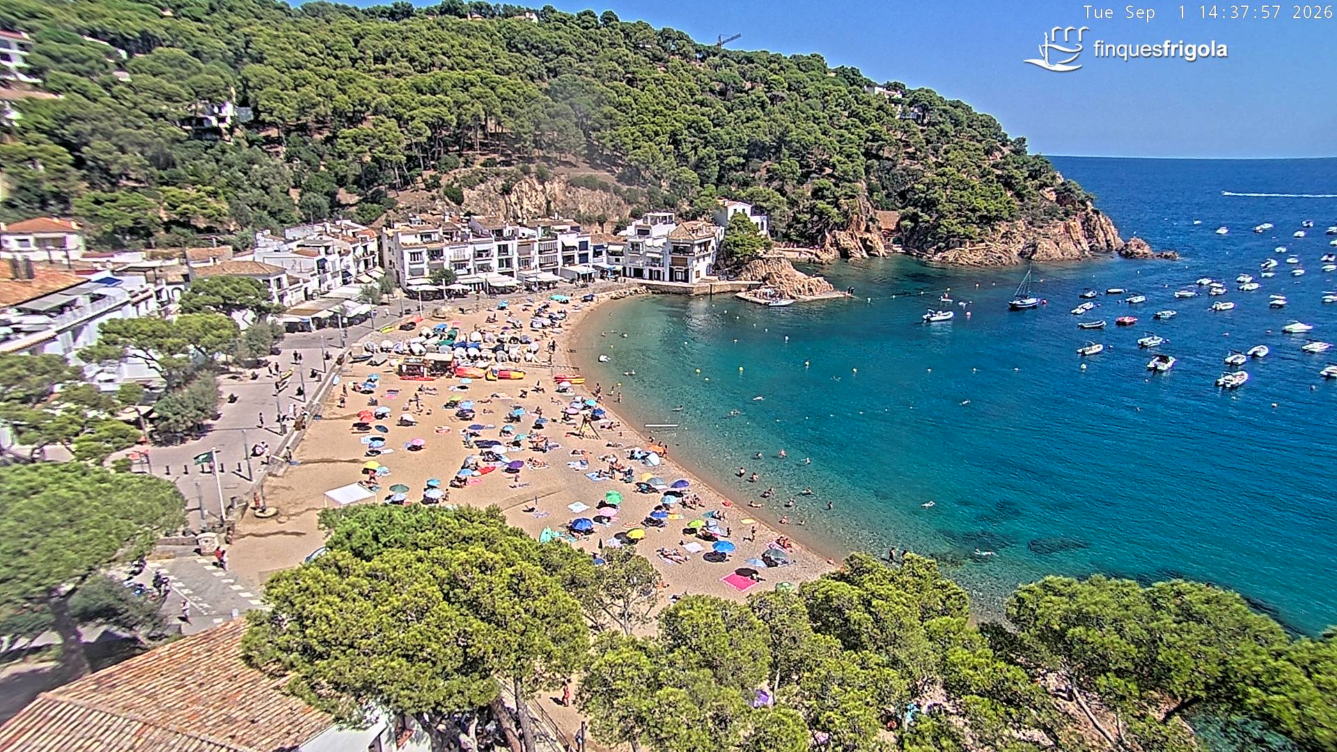 Webcam de Tamariu playa