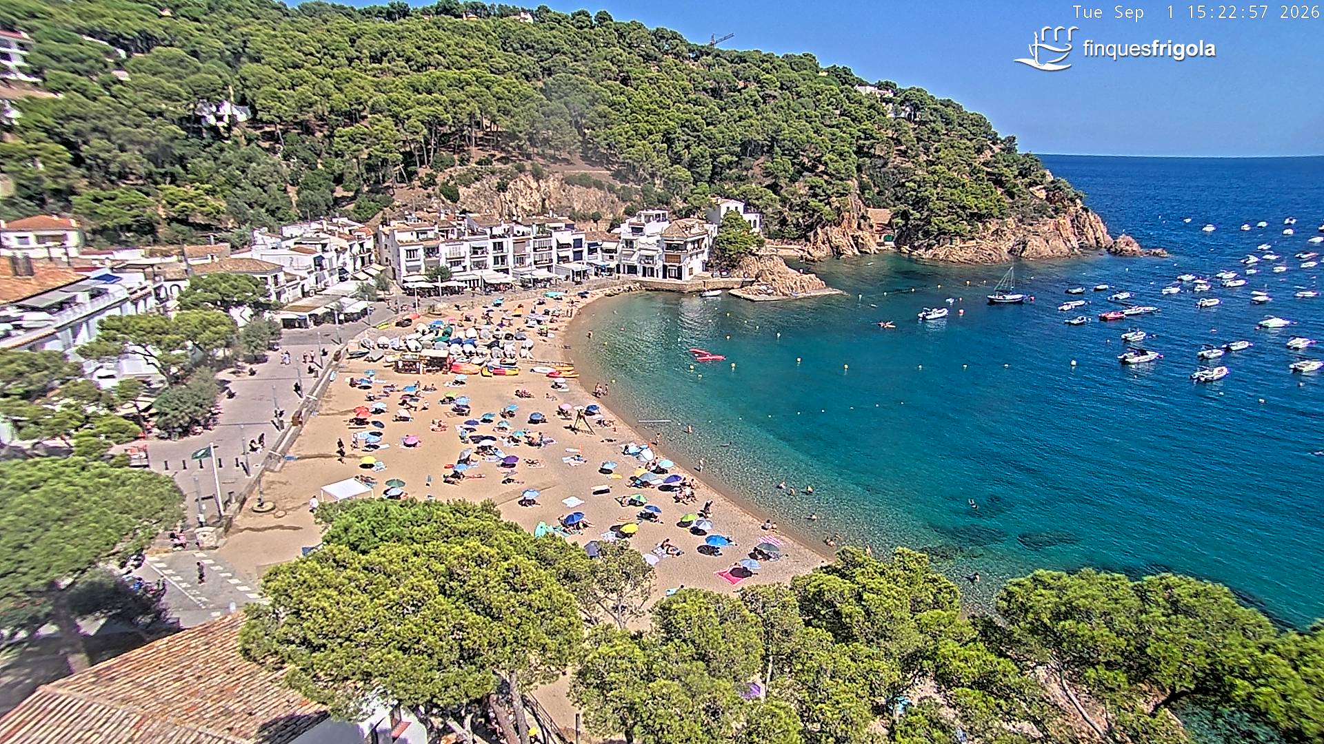 Webcam de Tamariu playa