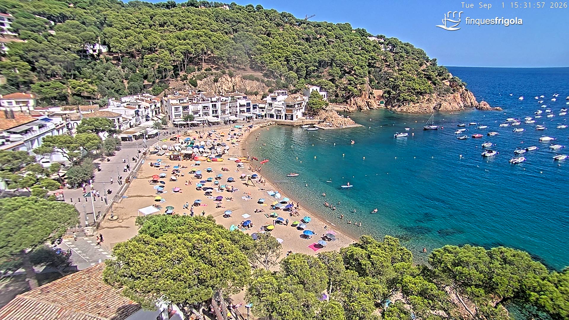 Webcam de Tamariu playa