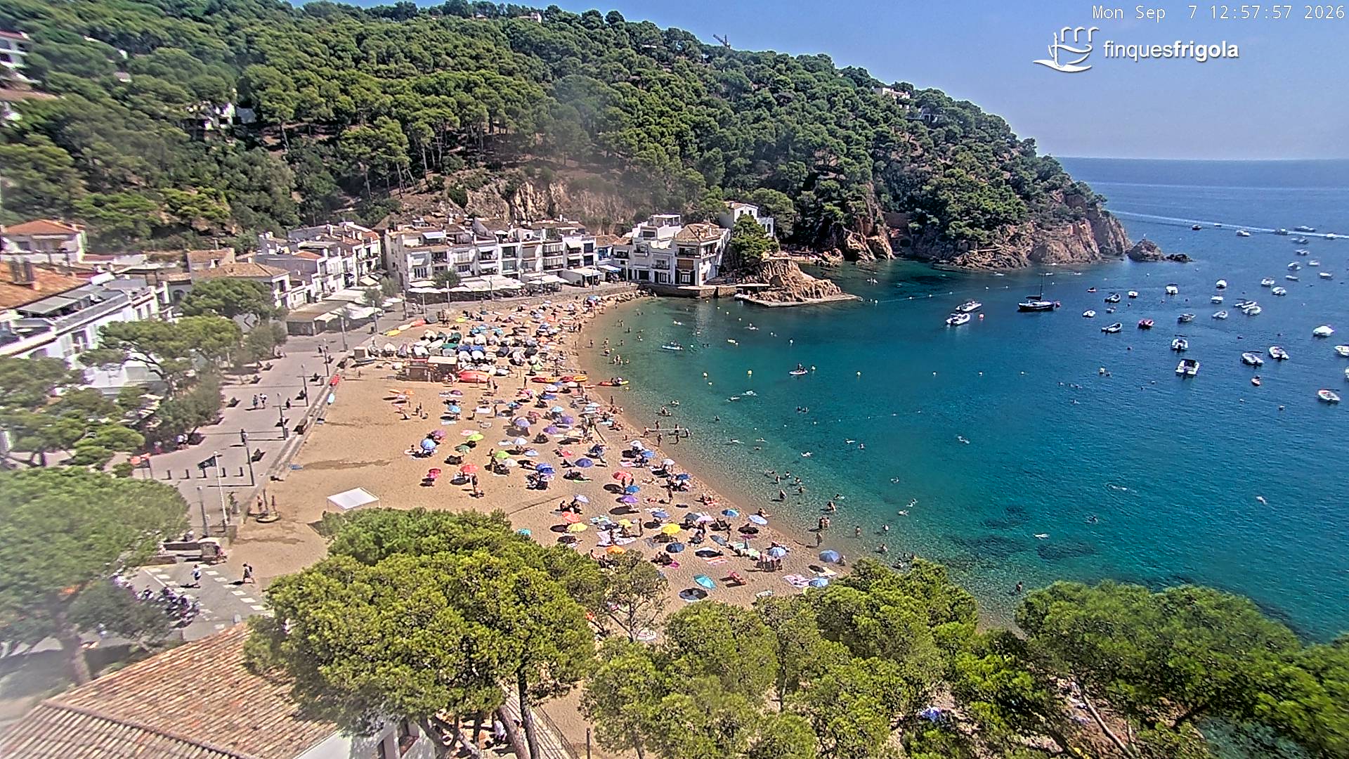 Webcam de Tamariu playa