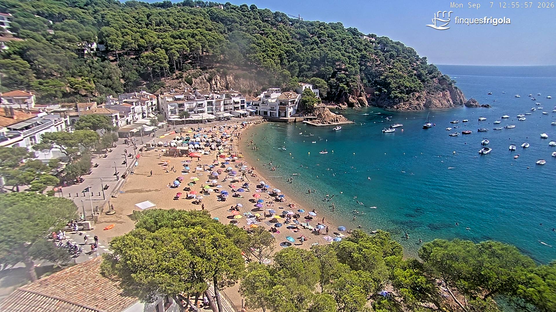 Webcam de Tamariu playa