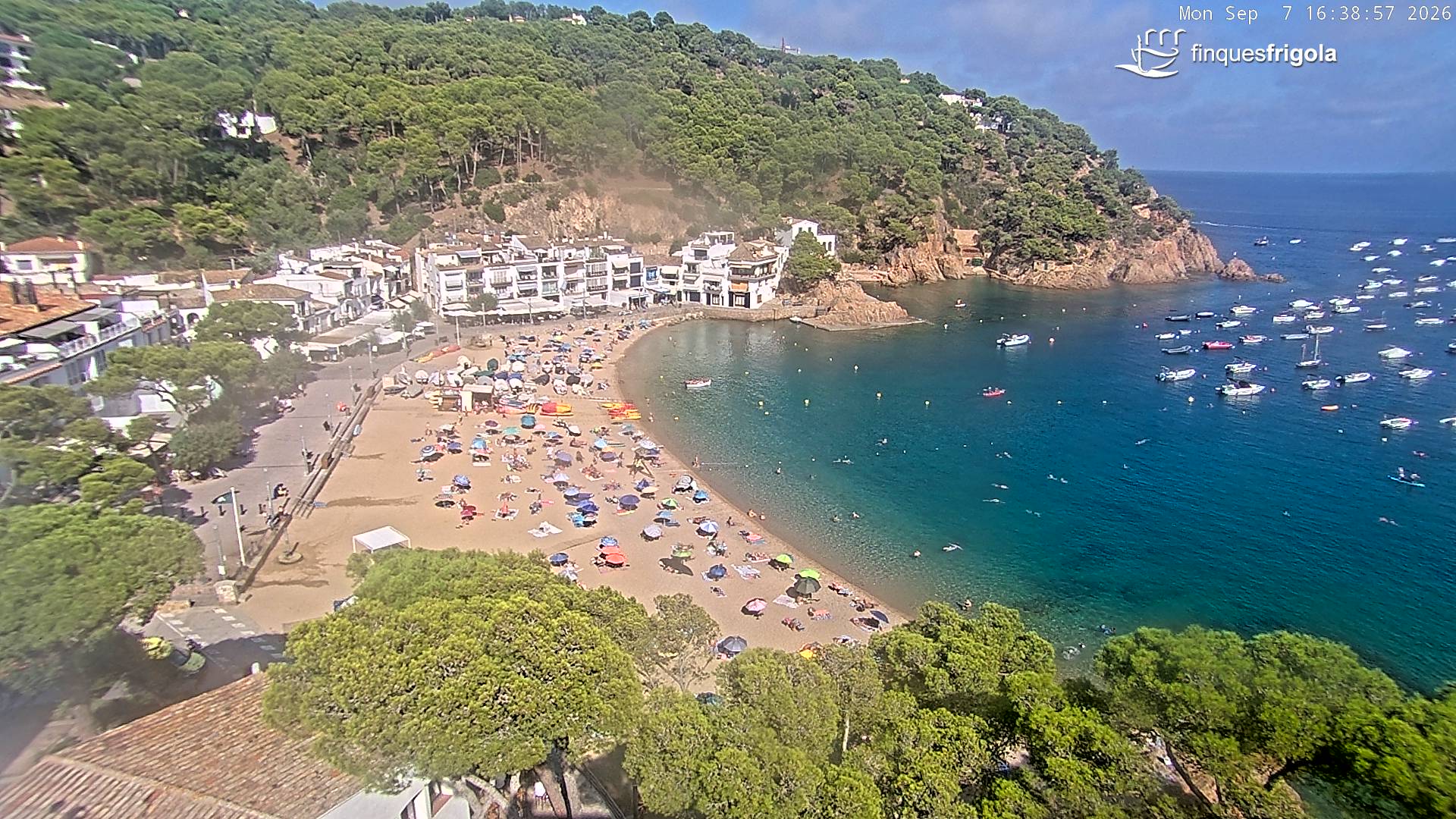 Webcam de Tamariu playa