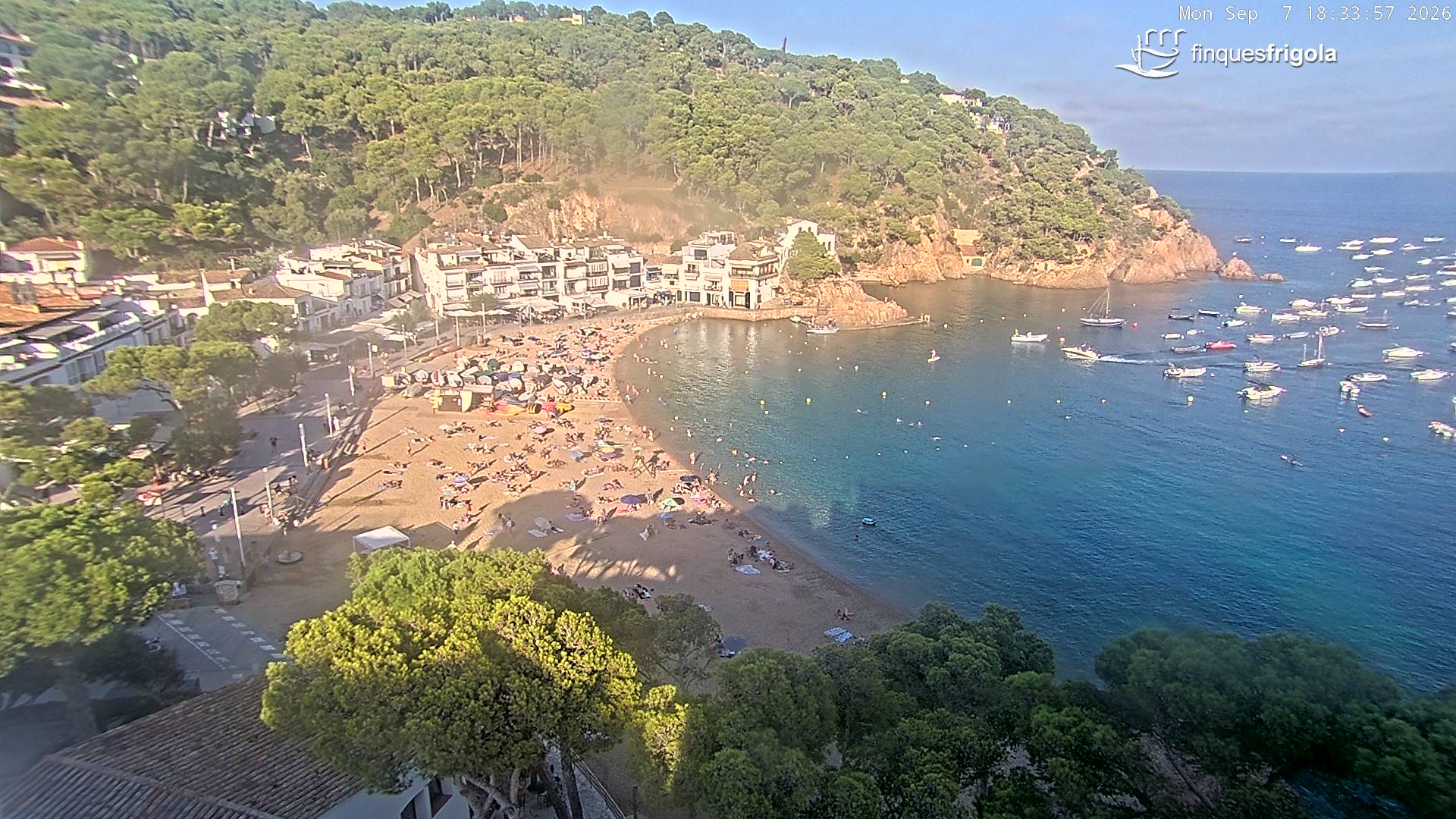 Webcam de Tamariu playa