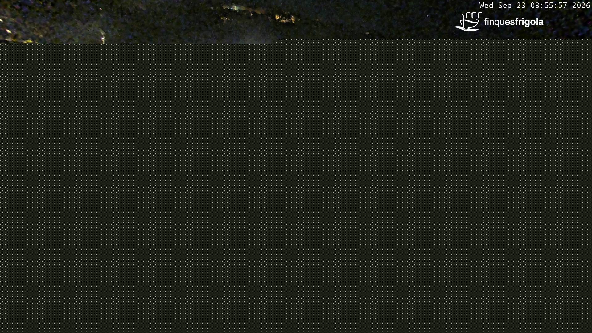 Webcam de Tamariu playa
