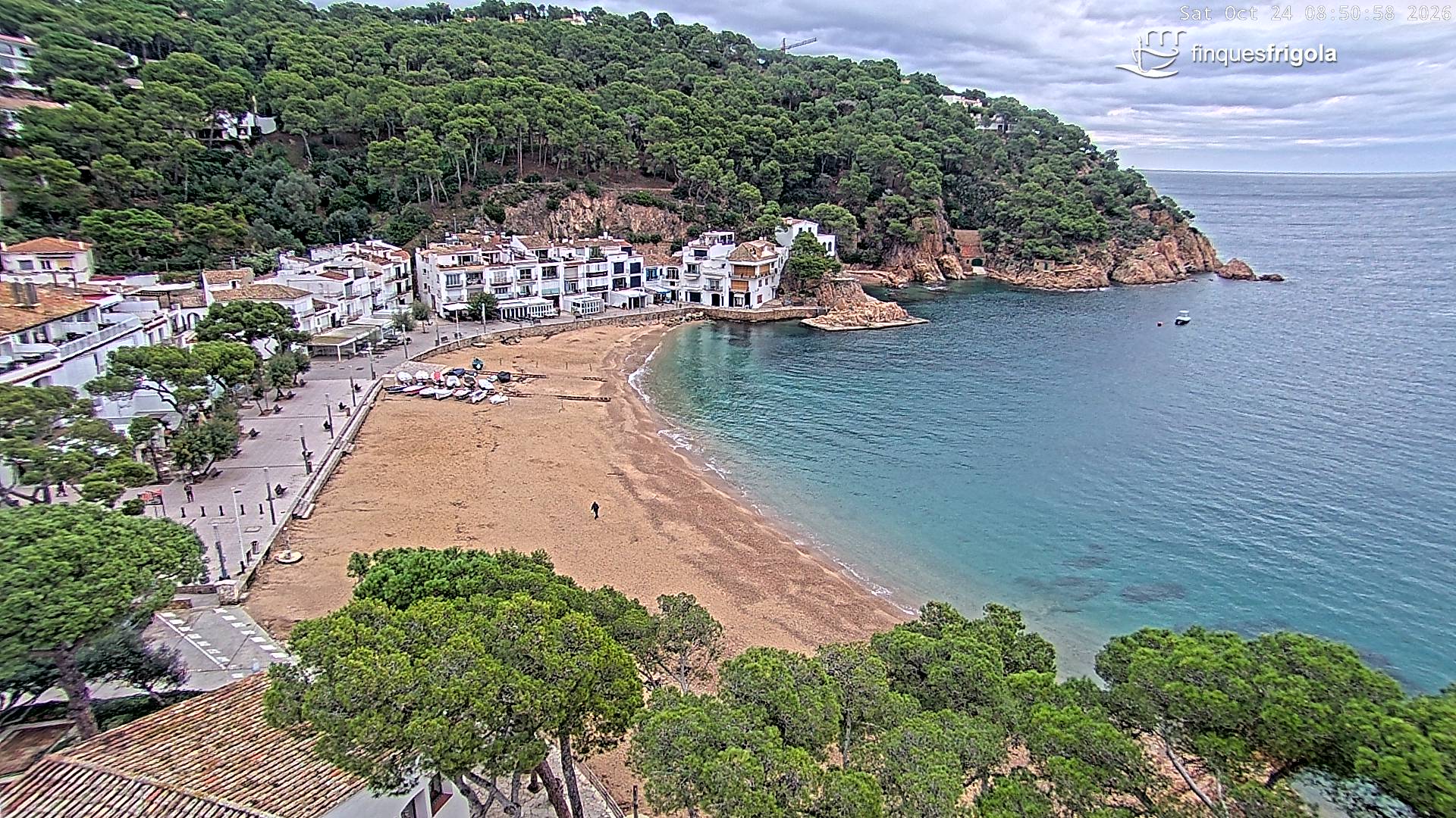 Webcam de Tamariu playa
