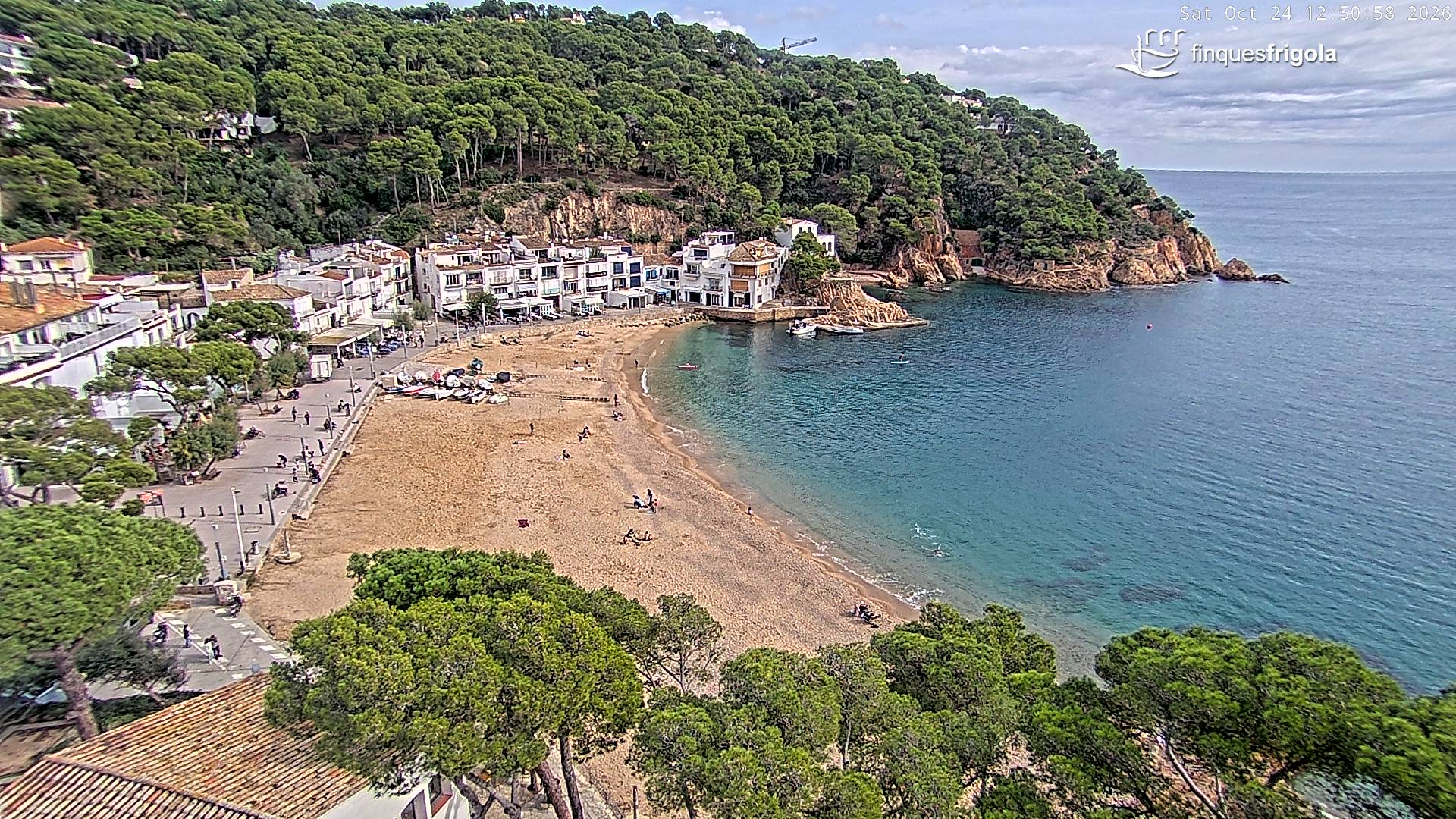 Webcam de Tamariu playa